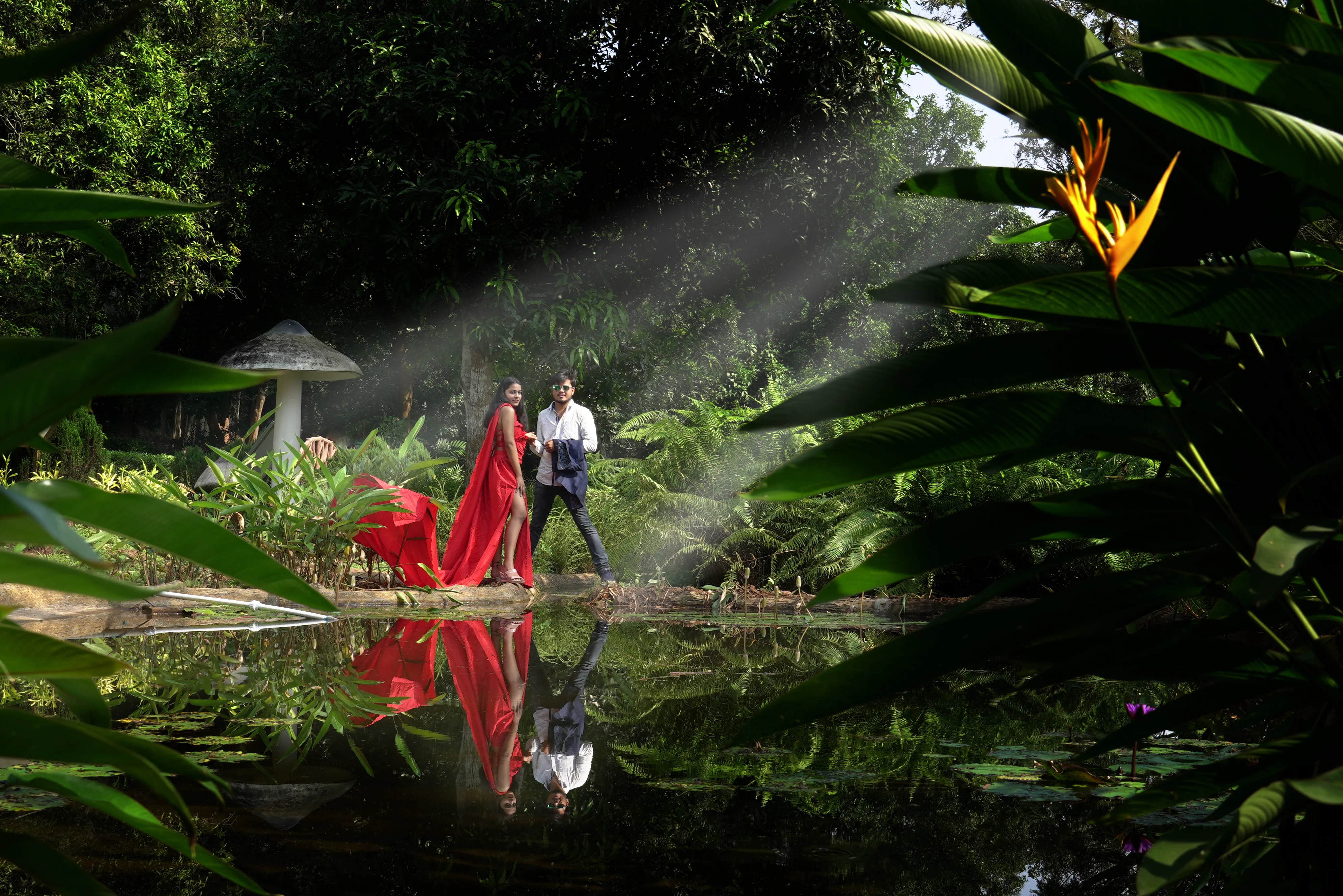 Photography_5